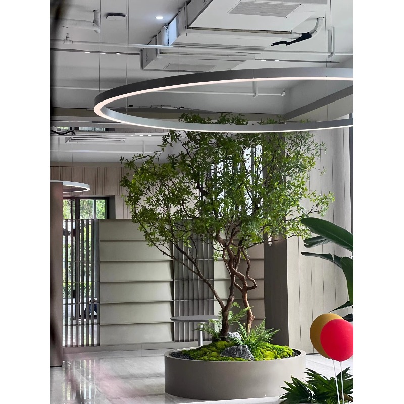 พืชประดิษฐ์, ตกแต่งห้องนั่งเล่ - Interior Design Landscape บทวิจารณ์และราคา